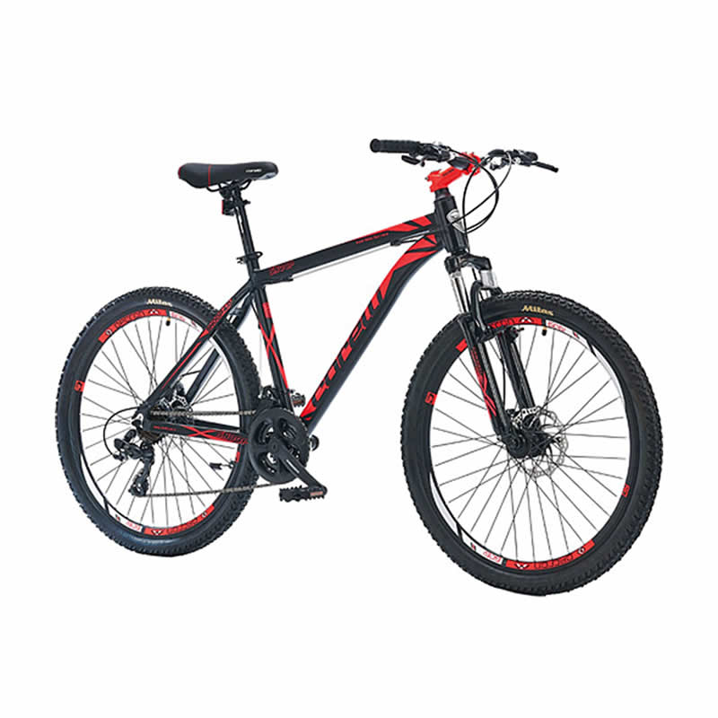 24 Speed ​​Mountain Bike